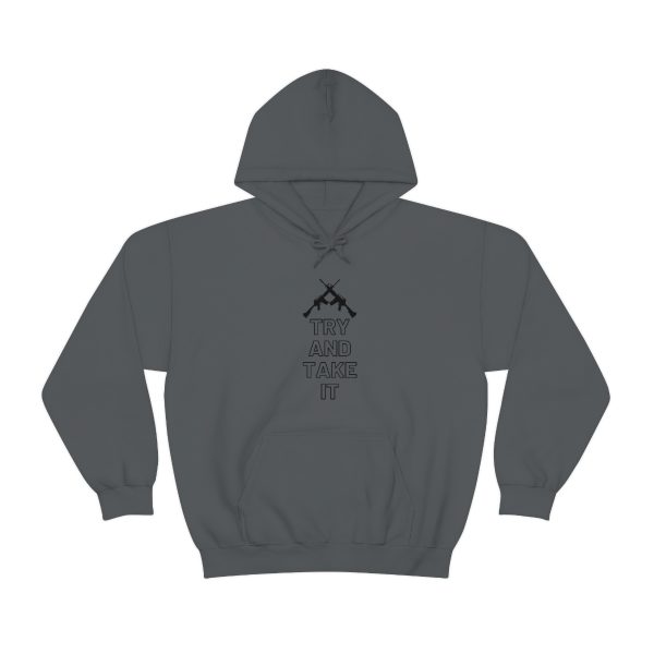 Try and Take It 2nd Amendment Hoodie - Image 5